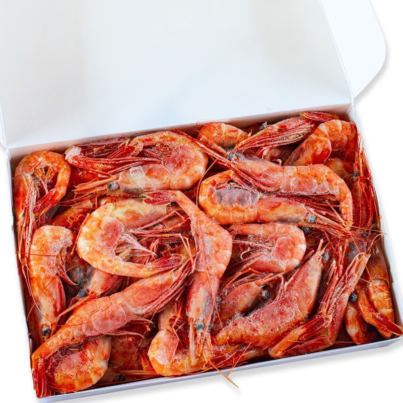 08d1a270515bec0173f4c52d096e5319